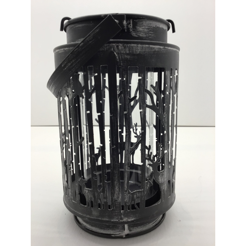 windlicht grijs bomen 10x16