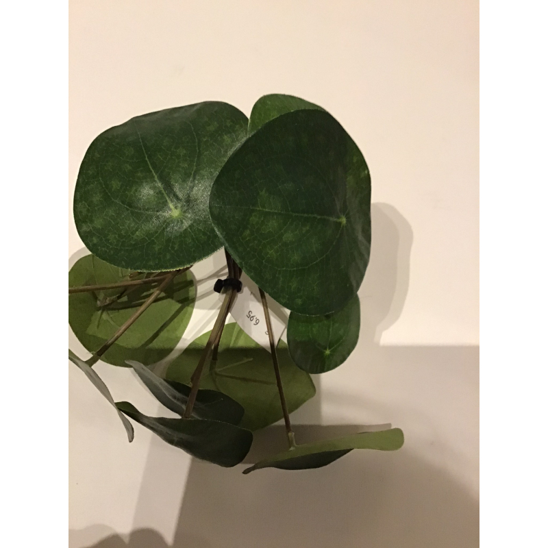 kunstplant steel pannenkoek klein