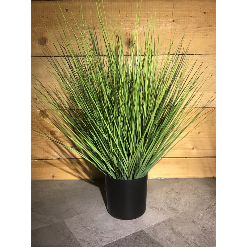 Plant tarwegras potdiameter 20cm, hoog: 80cm