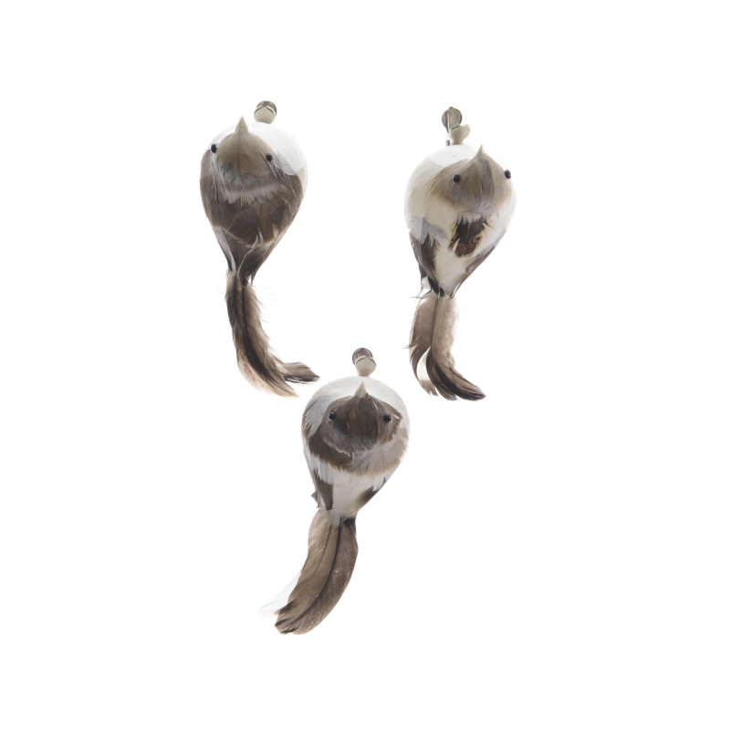 vogel natuur 2 stuks