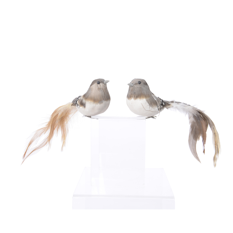 vogel veren lange staart 2 stuks