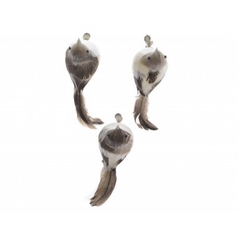 vogel natuur 2 stuks