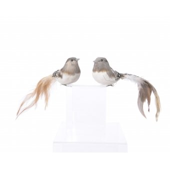 vogel veren lange staart 2 stuks