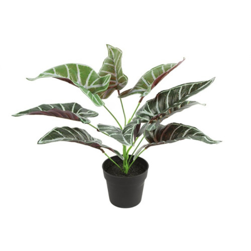 kunstplant alocasia in pot 30x20