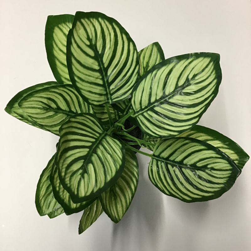 kunstplant calathea 26 cm