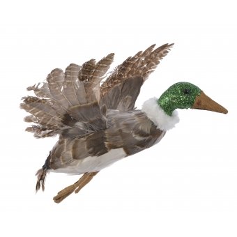 eend veer vliegend hang