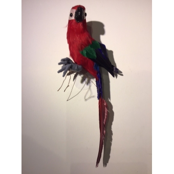 vogel papagaai rood 37 lang