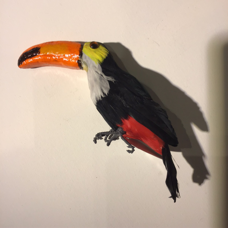 vogel toekan kind 20 lang