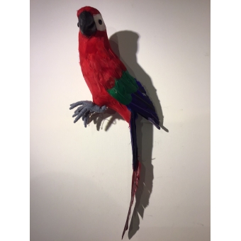 vogel papagaai rood 47cm lang