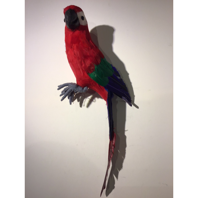 vogel papagaai rood 47cm lang
