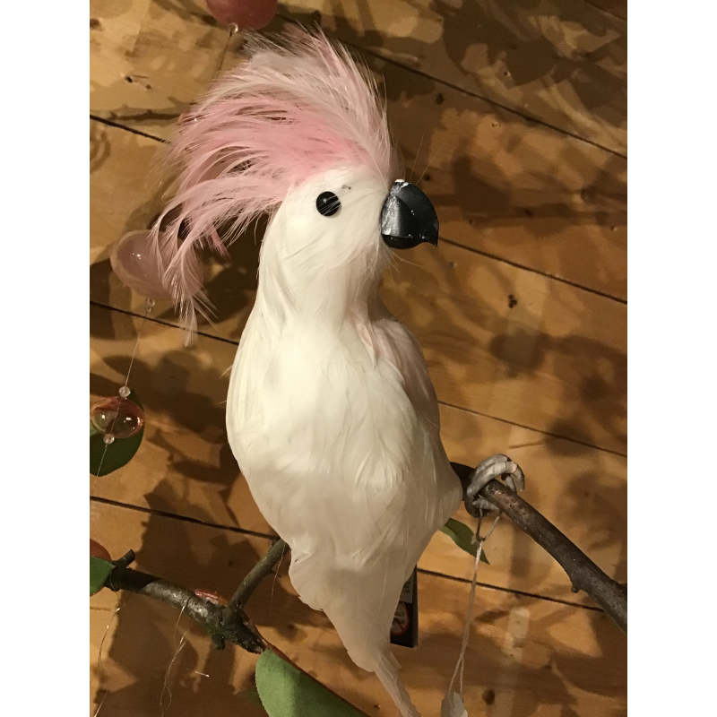 vogel kakatoe wit roze kuif 25 lang