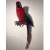 vogel papagaai rood 47cm lang