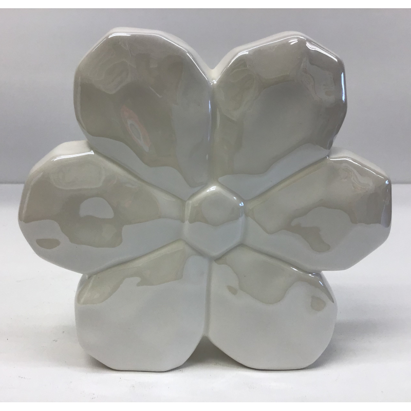 Bloem aw paarlemoer 16cm