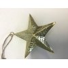 hanger ster goud 10cm