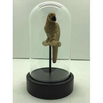 vogel papagaai op stok in stolp goud 12x20