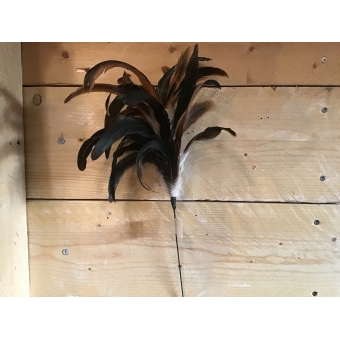 decoratieveer, fazant, 60 cm
