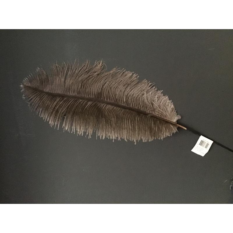 veer struisvogel per stuk 