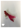Vogel rood op clip 23CM