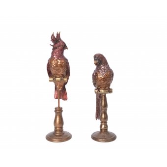 papegaai standaard assortiment 