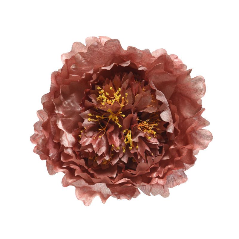 bloem pioen assortiment 27x11