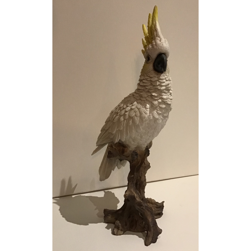 vogel kakatoe 15x38