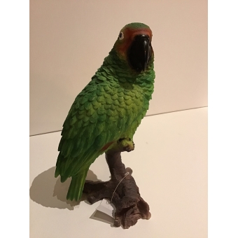 vogel amazone papagaai 17x22
