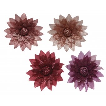 bloem dahlia haak assortiment