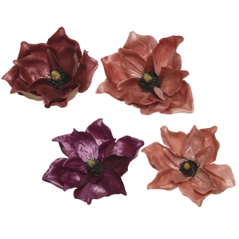 bloem magnolia assortiment 42x13