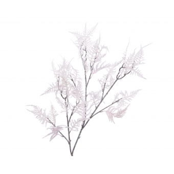 tak aspergeloof plastic poeder roze