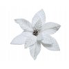 bloem poinsettia kerstster clip 32x32