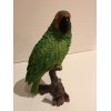 vogel amazone papagaai 17x22